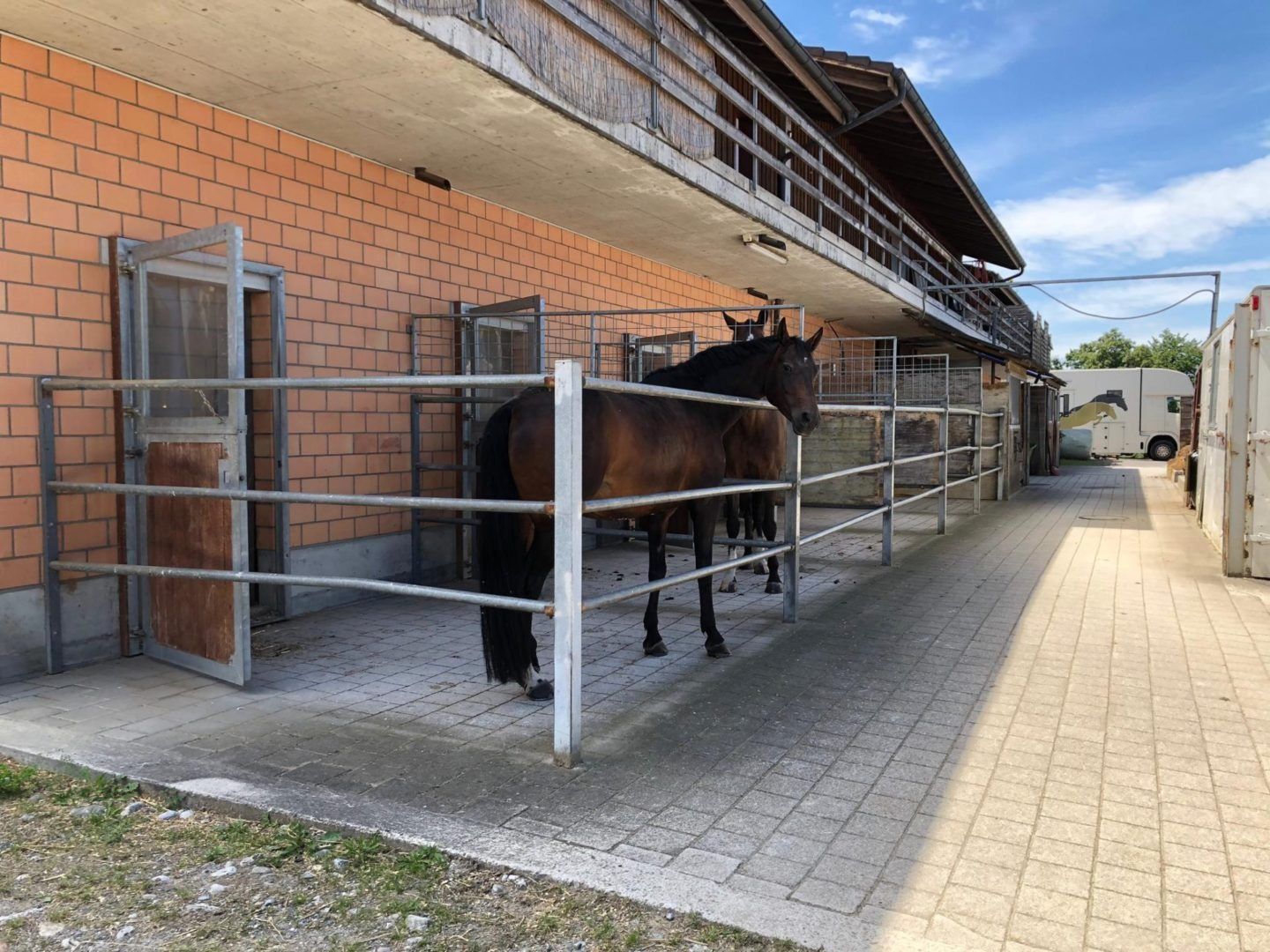 Ein Mann steht hinten in einem mit Pappkartons gefüllten Lieferwagen.
