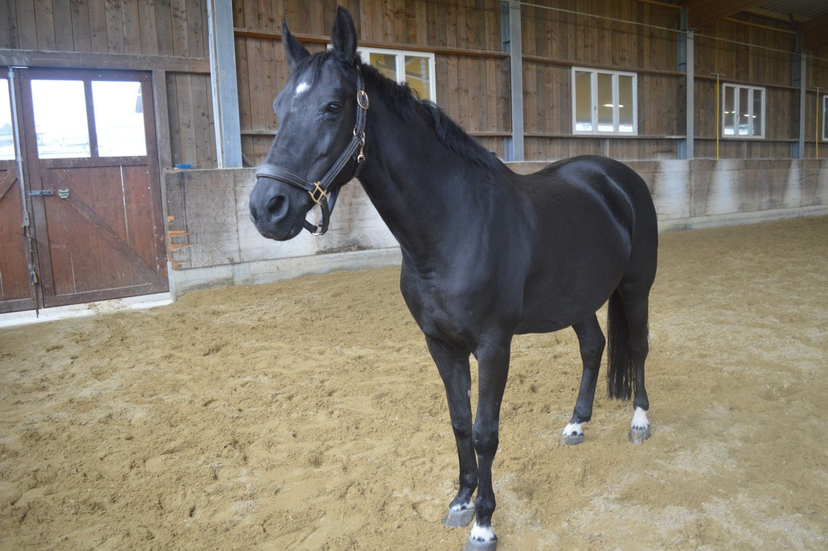 Ein Mann steht hinten in einem mit Pappkartons gefüllten Lieferwagen.