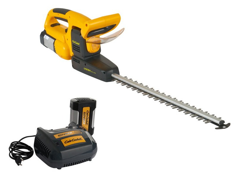 taille haies, perche, thermique, batterie, électrique, stihl, puy de dôme, montmorin, billom, paul ravel, motoculture,