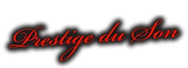 Logo Prestige du Son