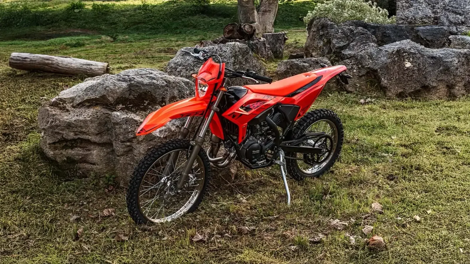 Moto de cross roja aparcada sobre la hierba cerca de rocas y árboles.