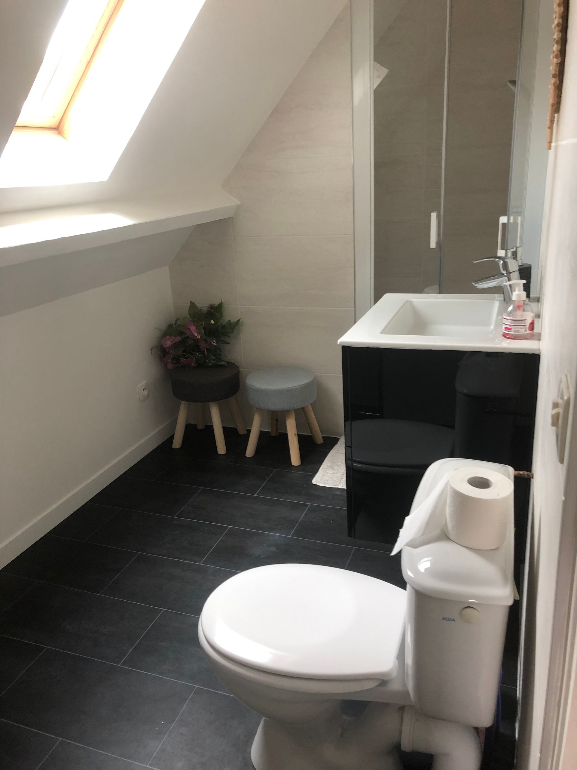 Salle de bains avec sol carrelé noir, murs blancs et puits de lumière ; des toilettes, un lavabo et une douche.