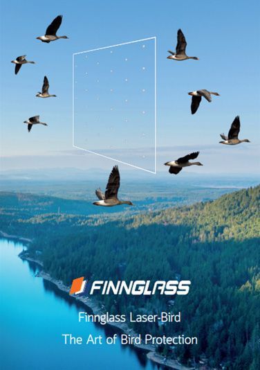 Bird Friendly Glass Finnglass