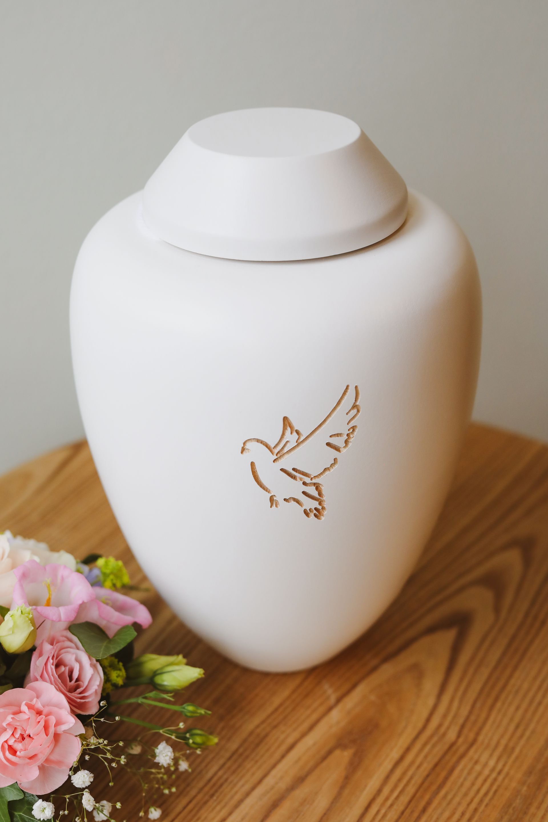 Kuura valkoinen lintu