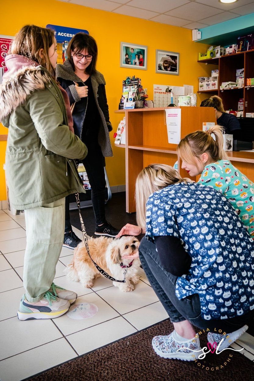 Des gens chez le vétérinaire avec leur chiens