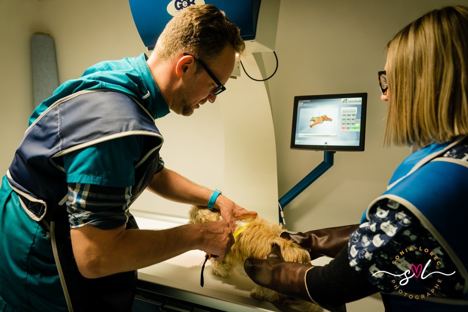 Deux vétérinaires soignent un chien