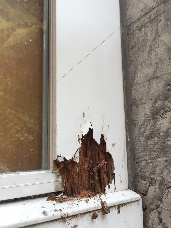 Reparatur Fensterrahmen - kellerhals schreinerservice