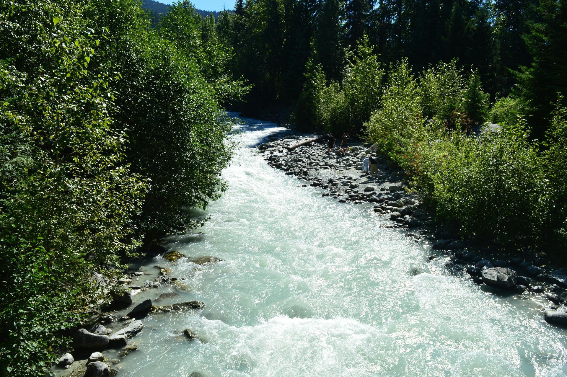 Group of people standing on a curved bridge, waving their arms with a forest backdrop.