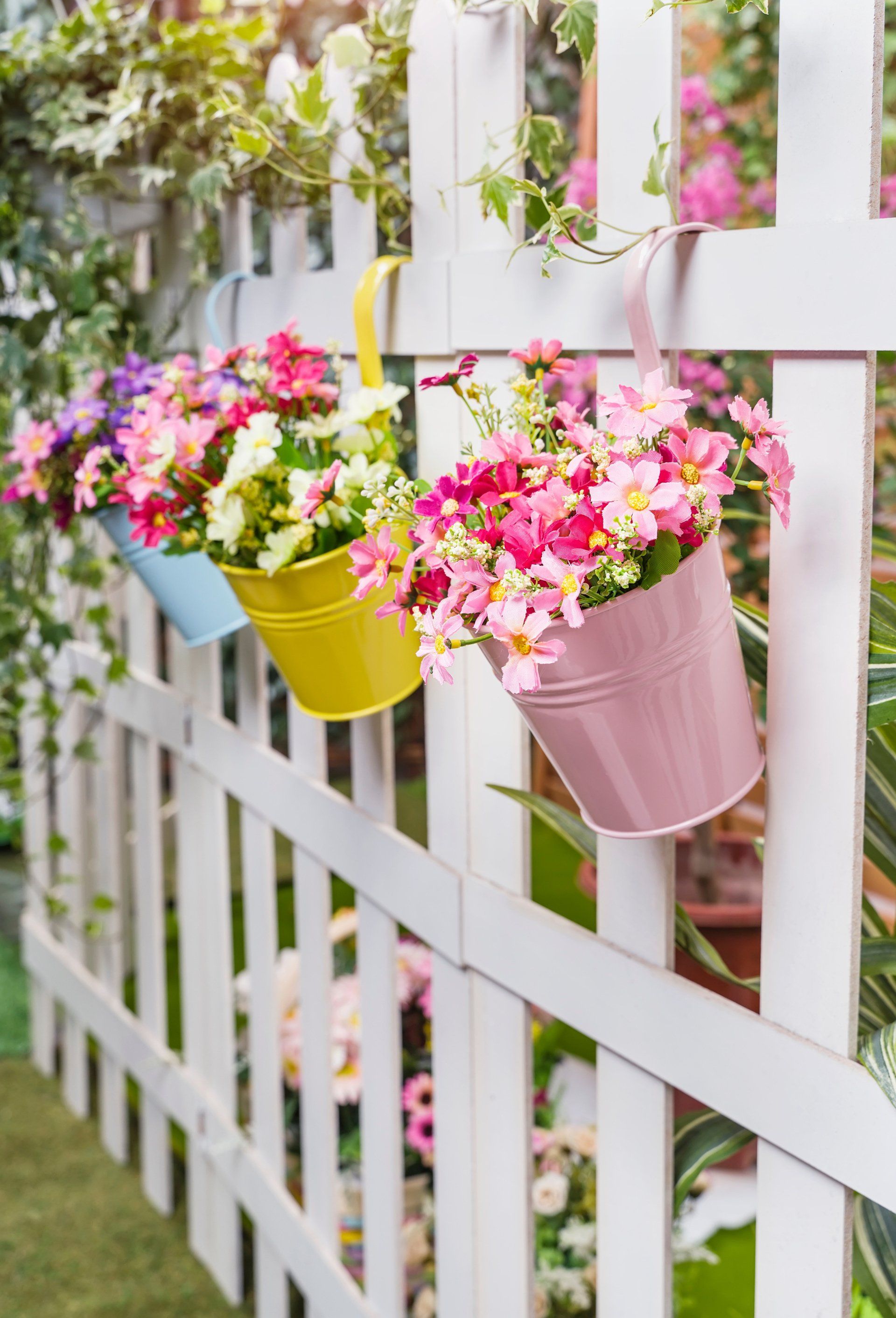 Photo de clôture avec trois pots de fleurs