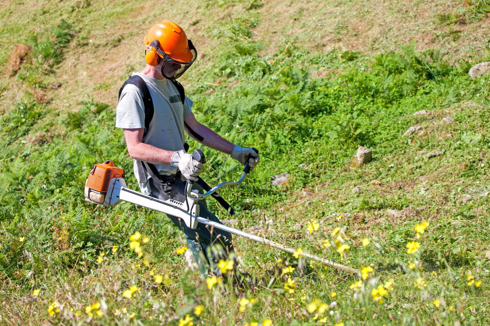 Homme avec une débroussailleuse dans un champ