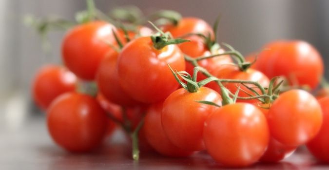 Frische Tomaten