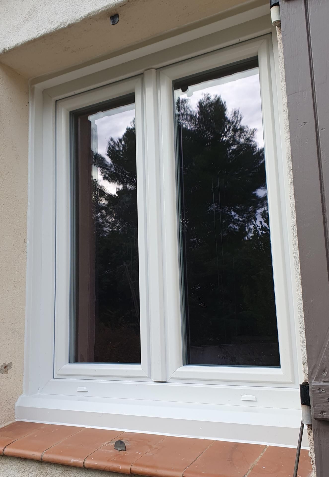 Fenêtre à double vitrage blanc reflétant un arbre, encadrée d'un cadre blanc sur un mur clair.