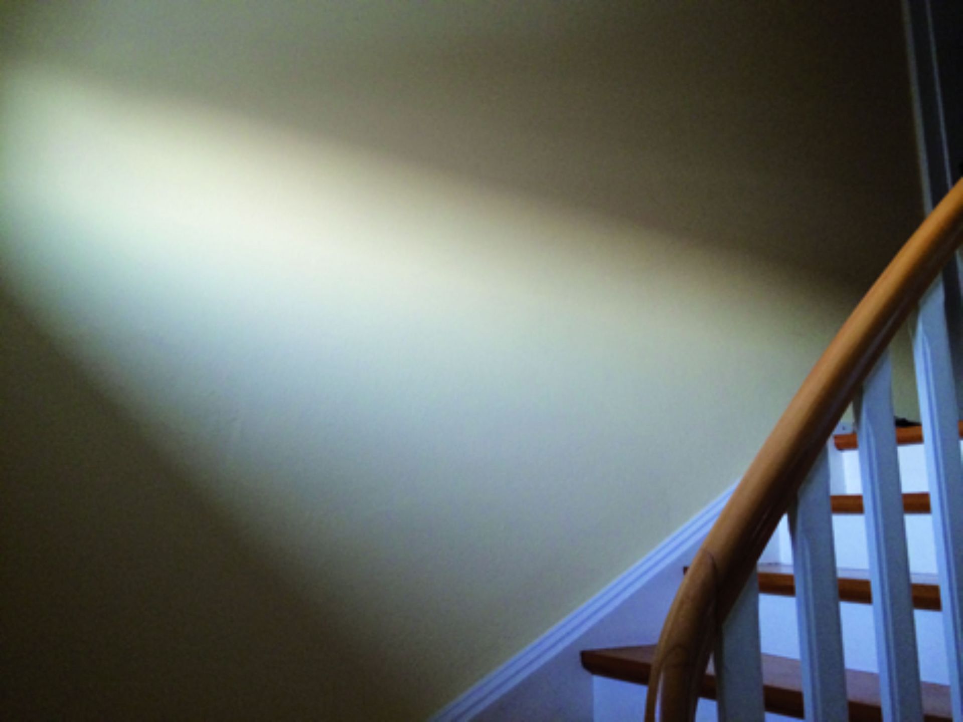 Wand - Lüthi & Sohn