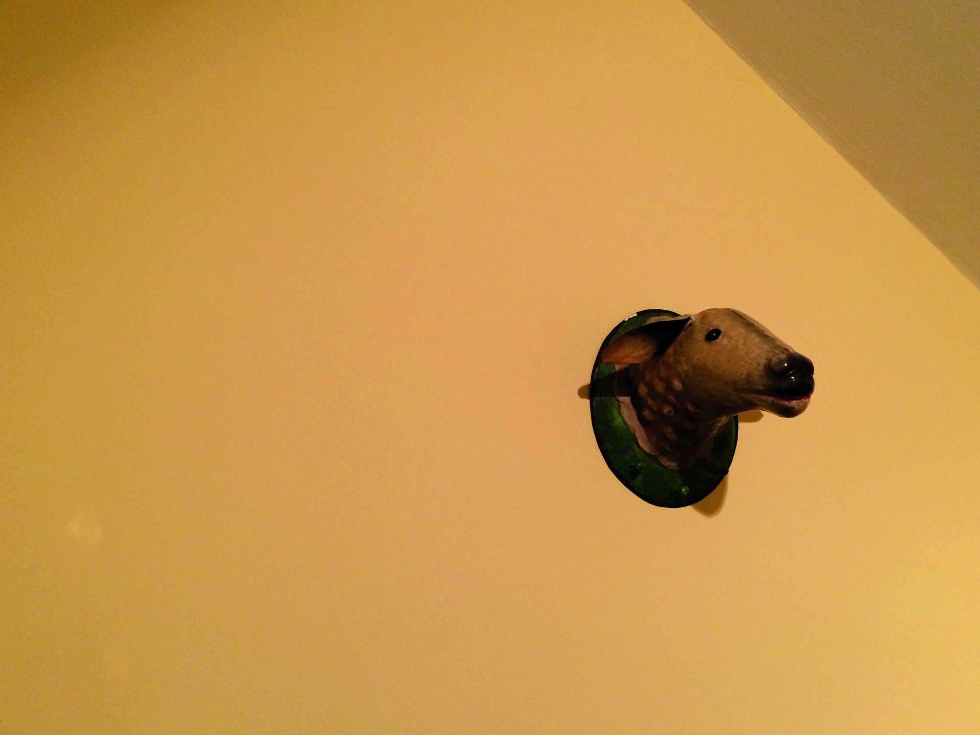 Wand - Lüthi & Sohn