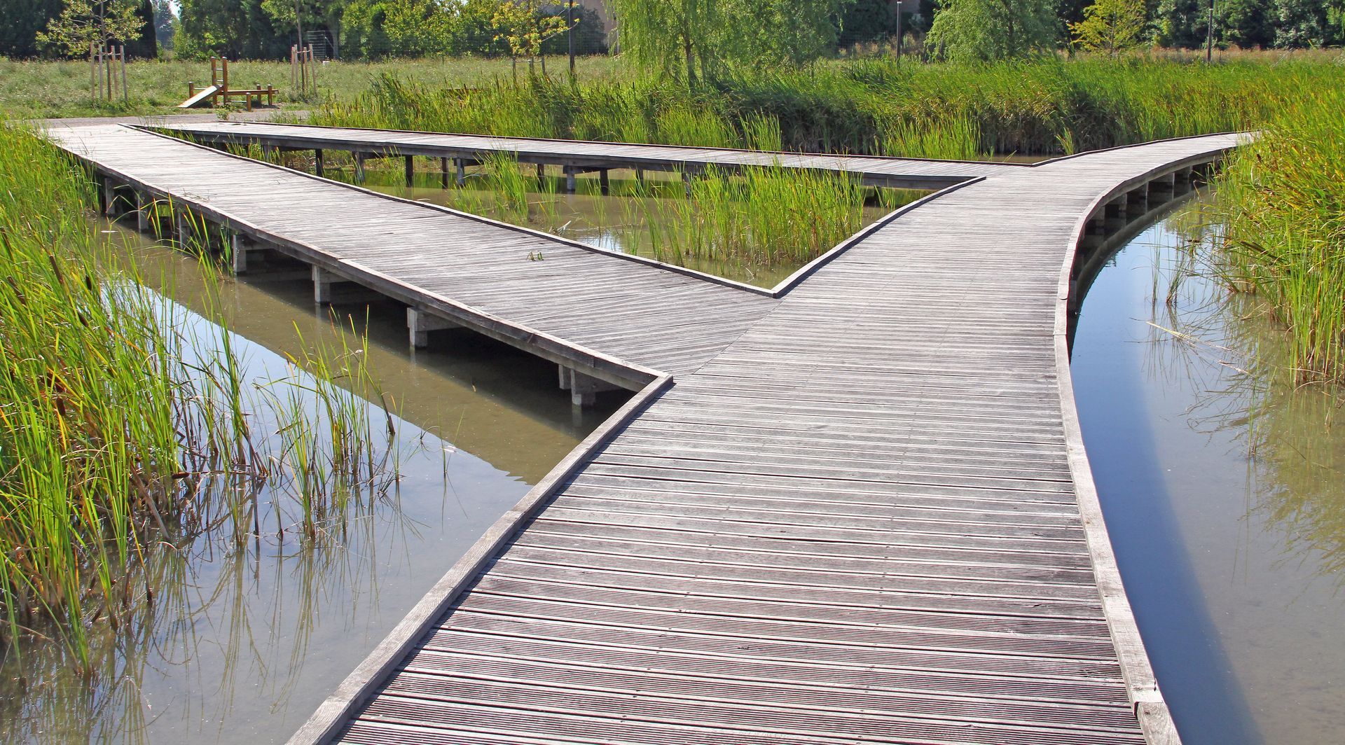 Passerelle en bois incurvée au-dessus des zones humides, bordée d'eau et de roseaux verts de part et d'autre.