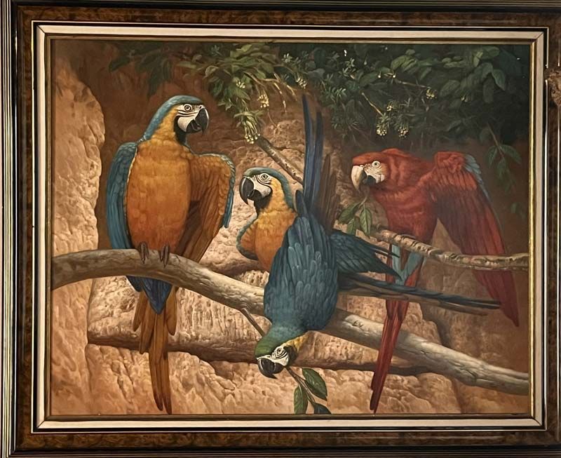 Tableau avec perroquets rouges et jaunes et bleus