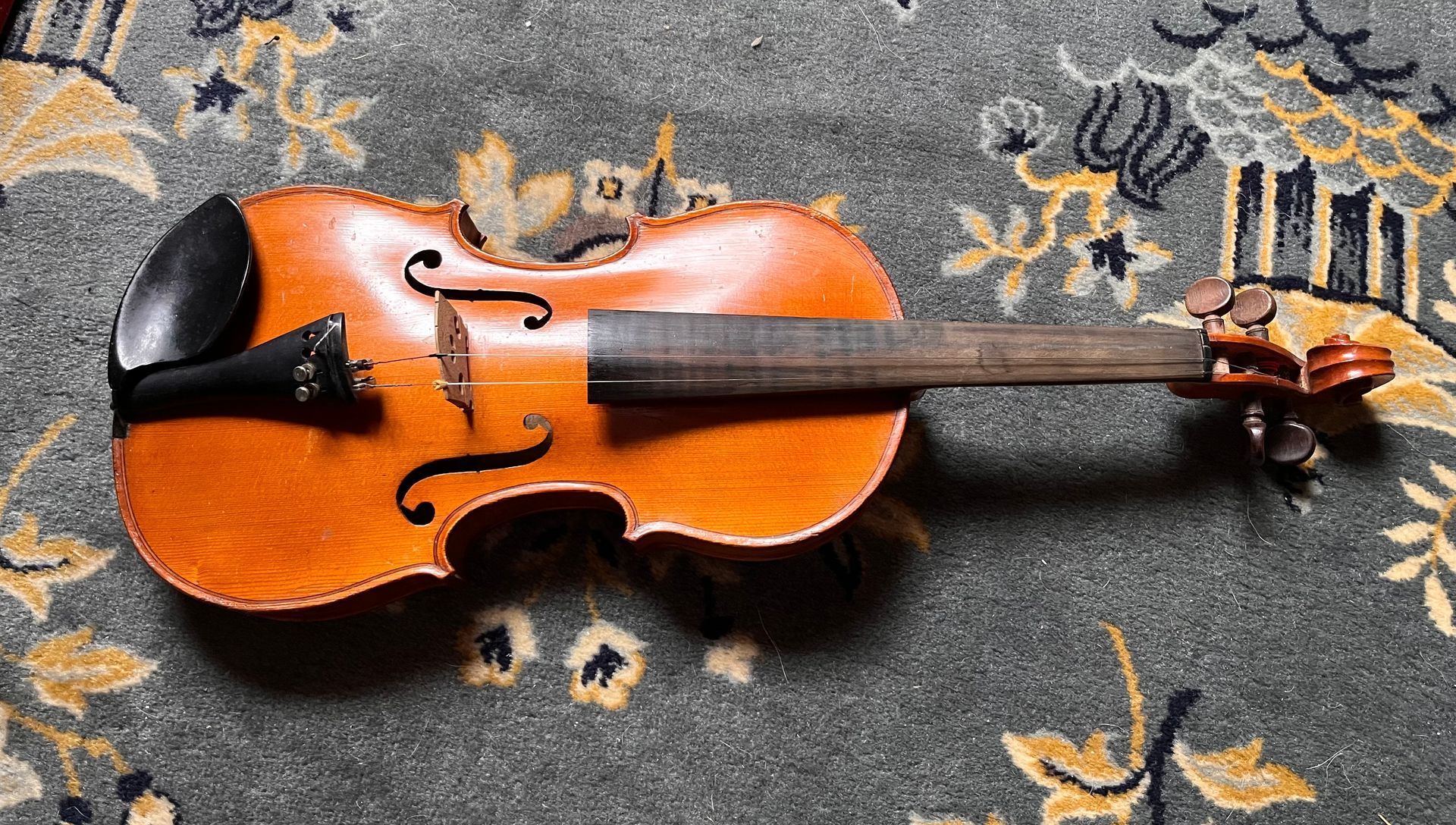 Violon ancien en gros plan