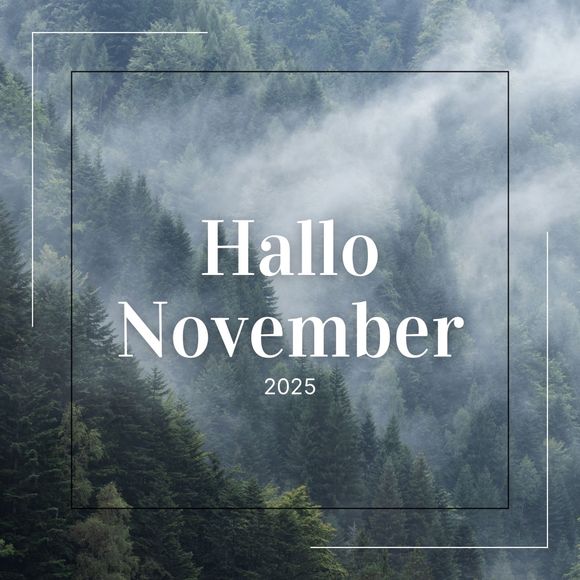 Monatsblatt | Fußbodentechnik Siegmund | Wildau