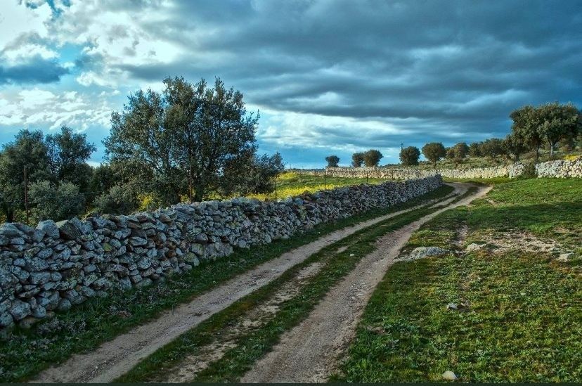 Sendero de tierra serpenteando junto a un muro de piedra a través de campos verdes bajo un cielo azul nublado.