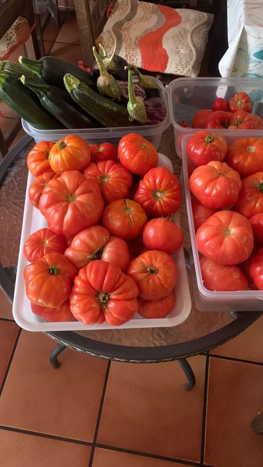 Bandejas con grandes tomates rojos y pepinos verdes sobre una pequeña mesa redonda en el interior.