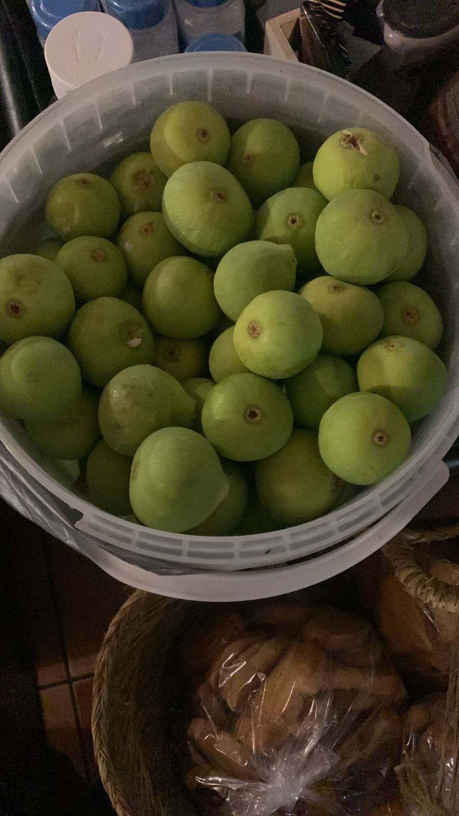 Un cubo blanco lleno de guayabas verdes, con una bolsa de objetos marrones debajo.