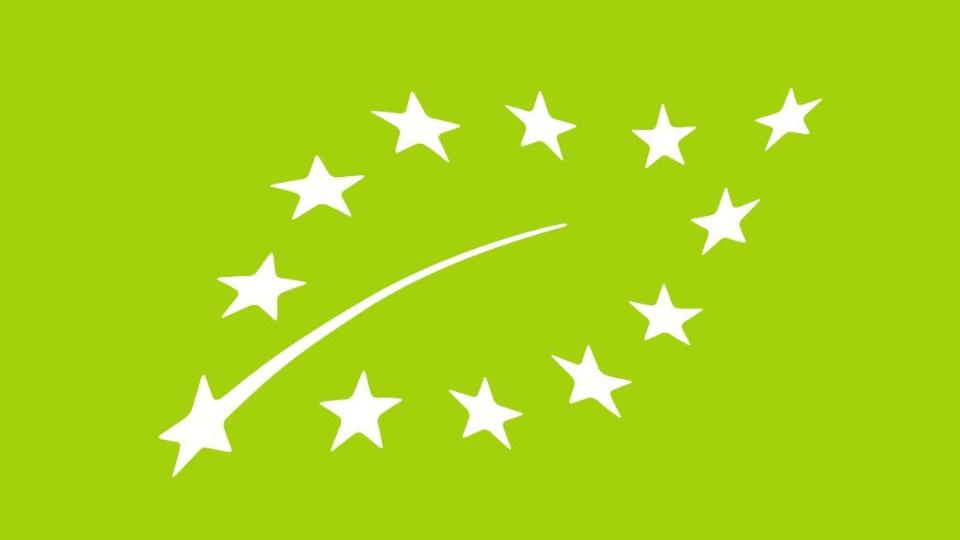 Ein grüner Hintergrund mit weißen Sternen darauf.