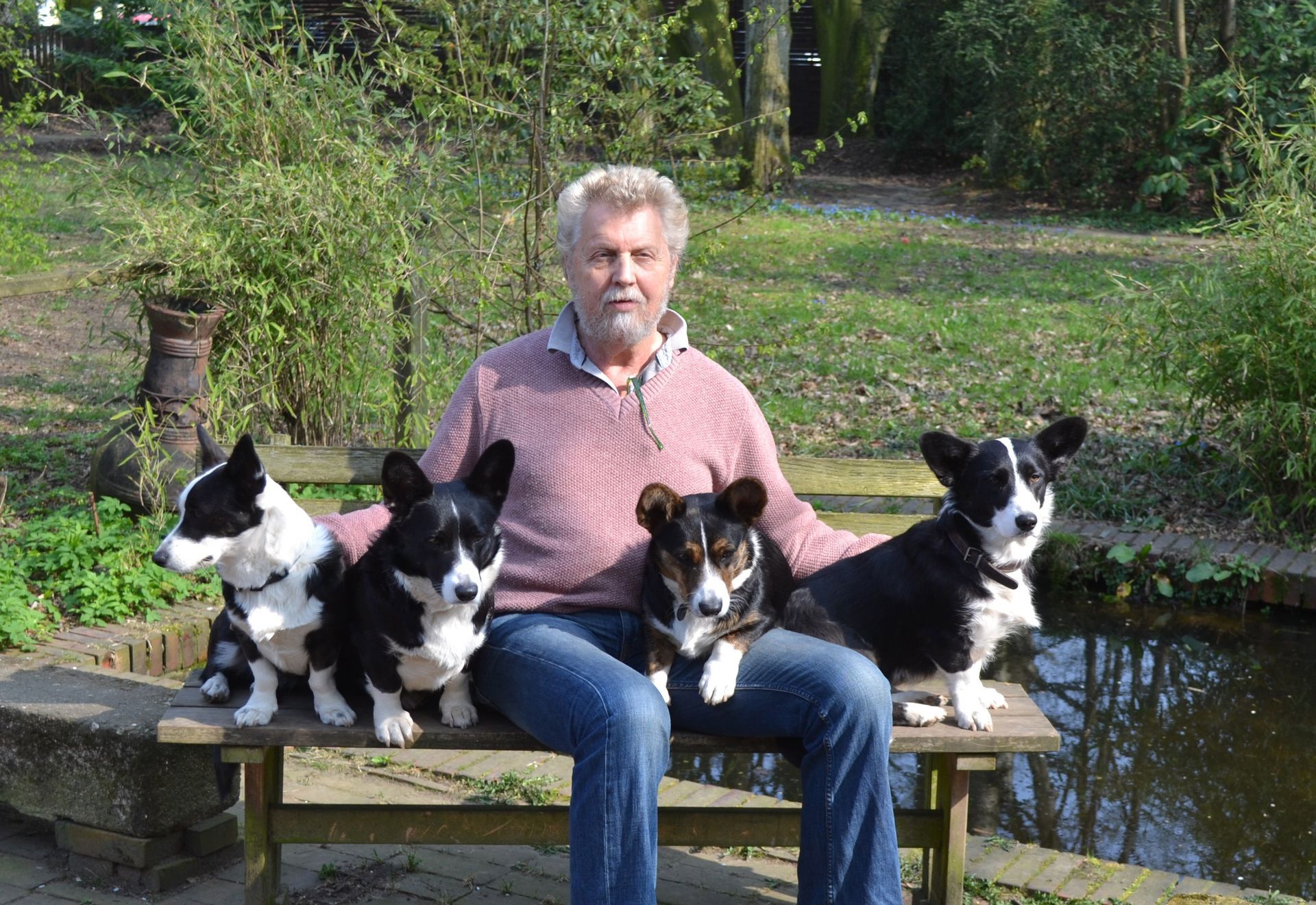 Ein Mann sitzt mit vier Hunden auf einer Bank