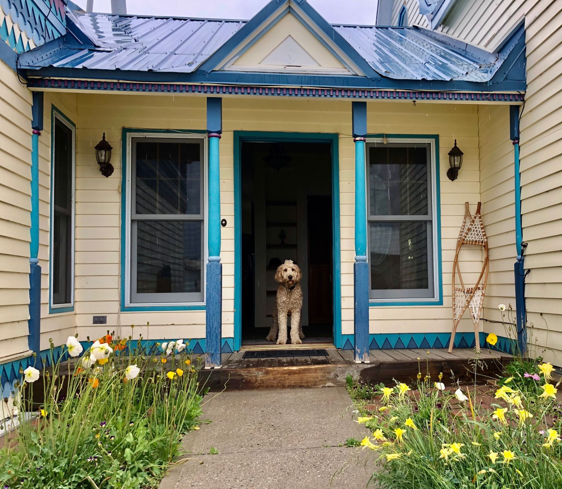 pet friendly vacation homes - Leadville, CO