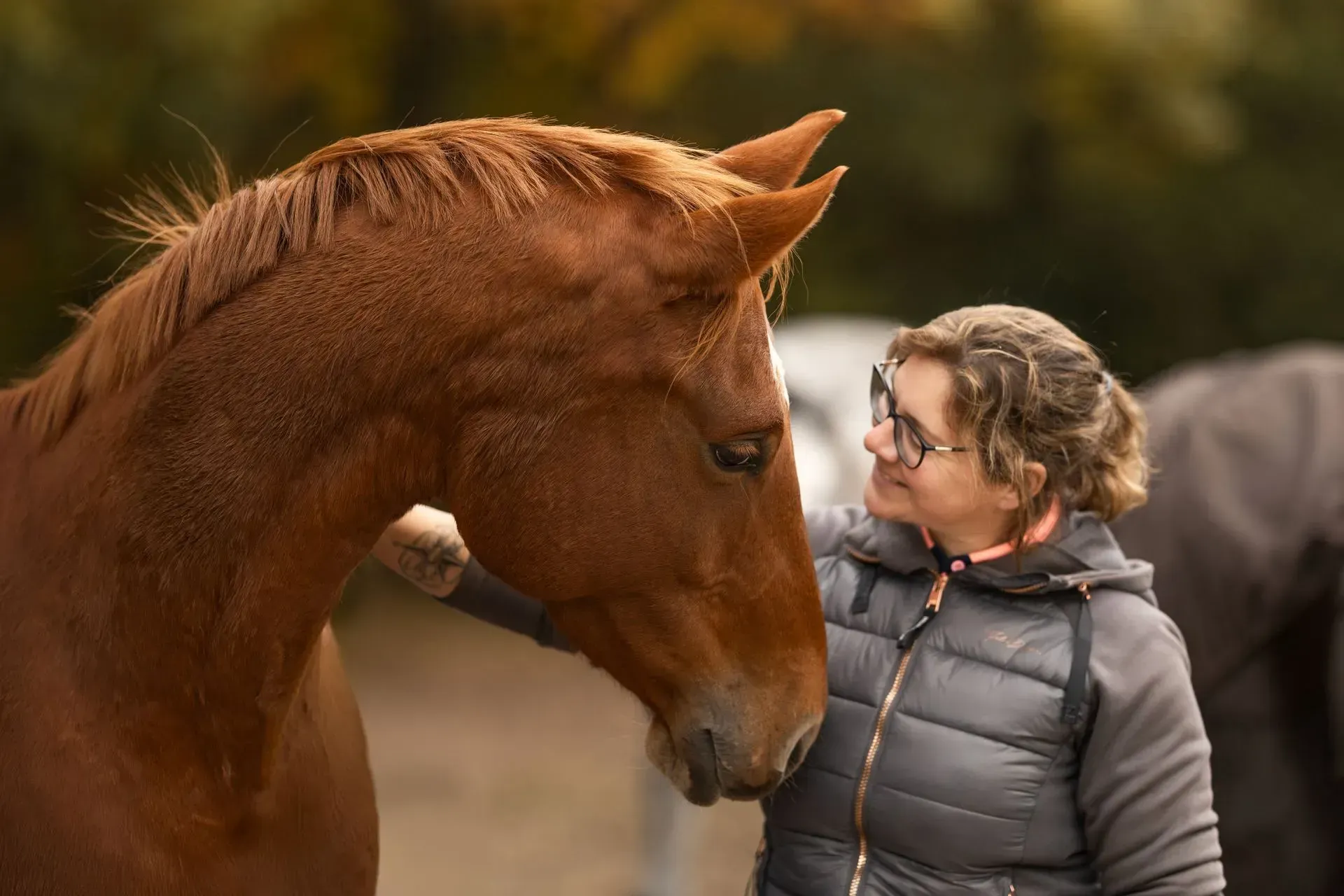 Frau in grauer Weste berührt mit der Nase die Nase eines kastanienbraunen Pferdes im Freien