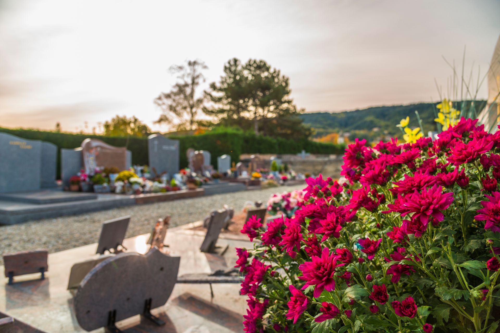 Un cimetière