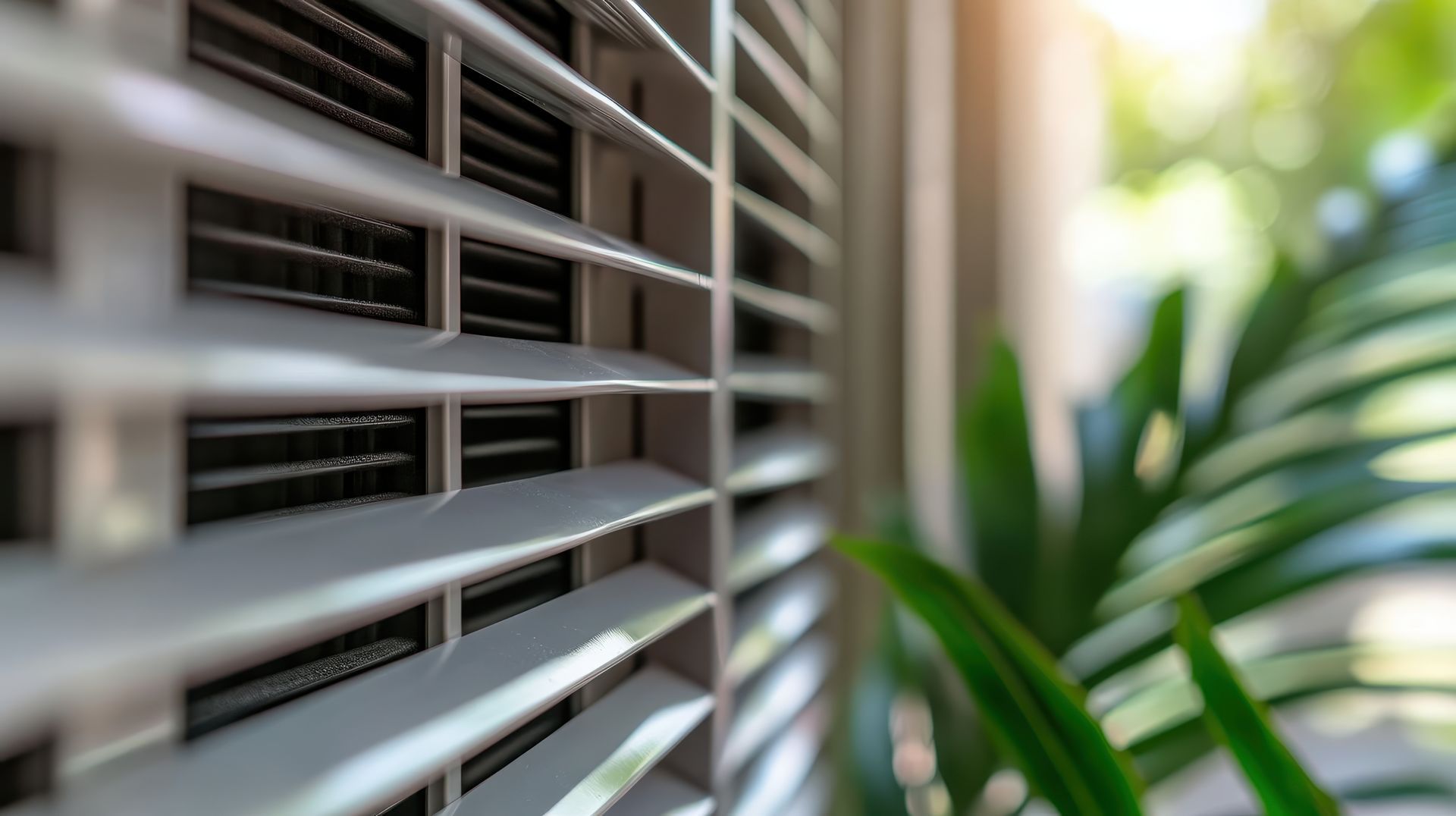 Un brise-soleil et une plante.
