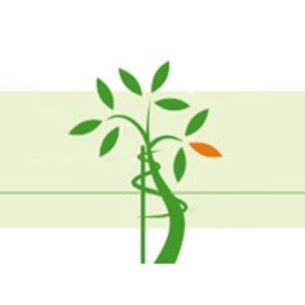 Eine Zeichnung eines Baumes mit grünen Blättern und einer orangefarbenen Blüte