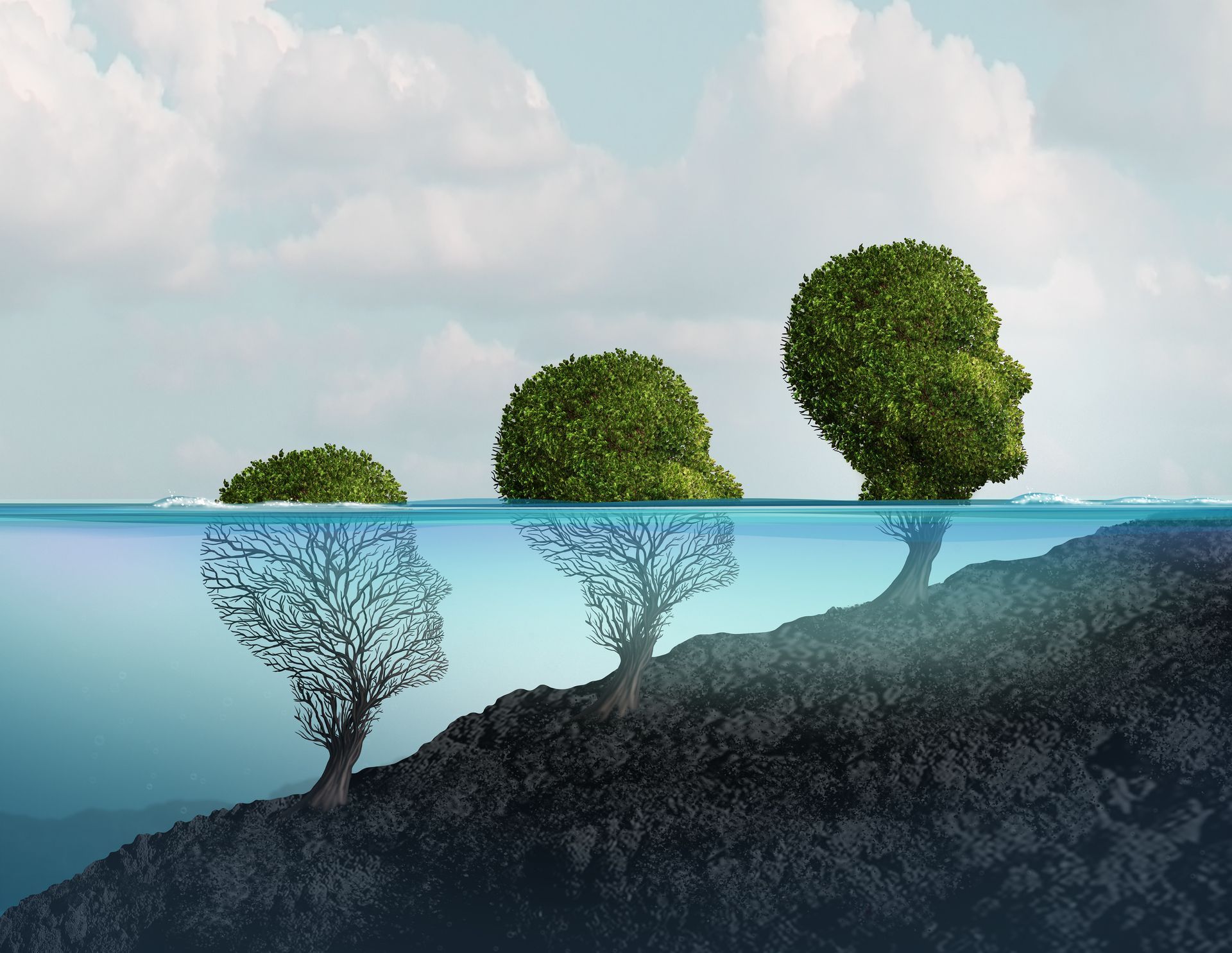 Trois têtes sortent de l'eau