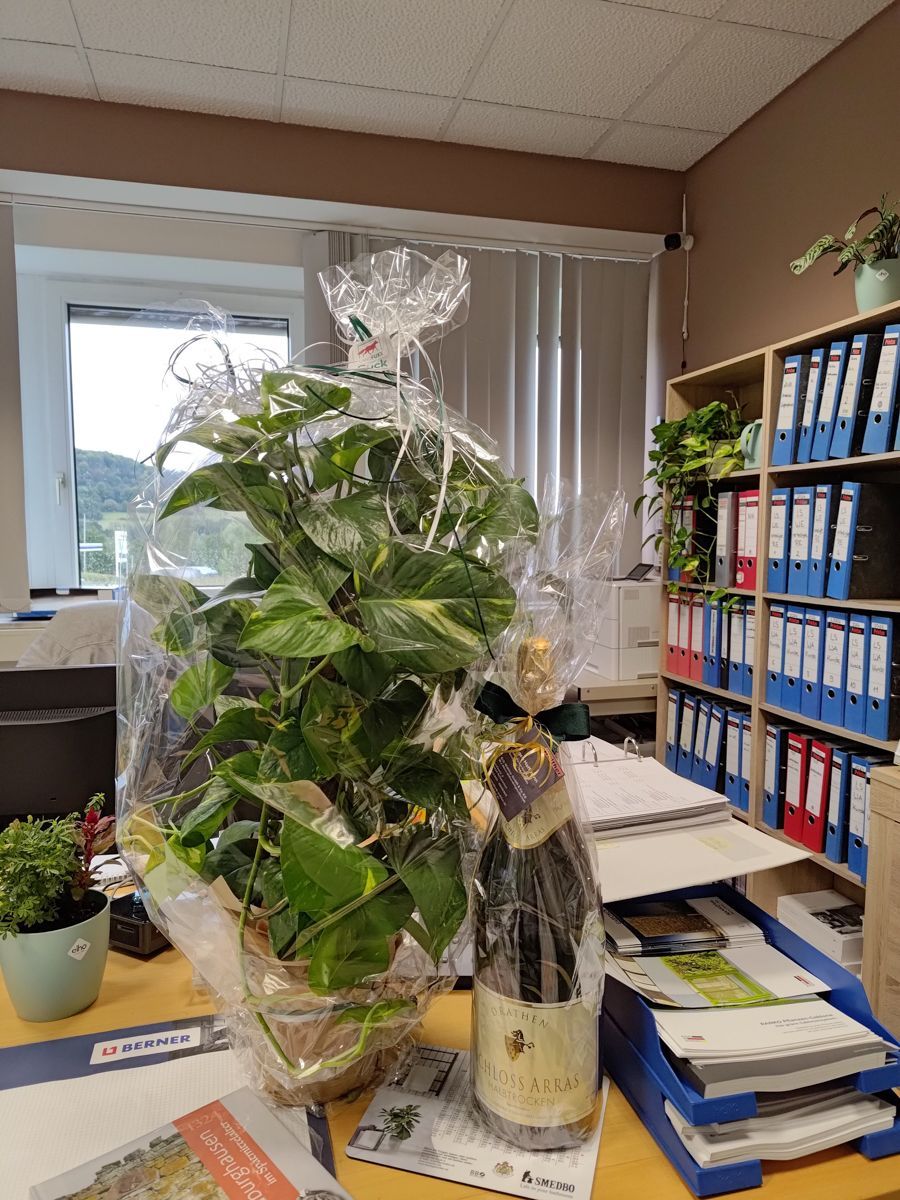 Eine Pflanze ist in Plastik eingewickelt und steht auf einem Schreibtisch in einem Büro.