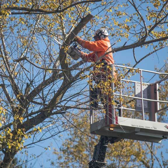 katharismoi-oikopedwn.gr katharismoi-oikopedwn.gr