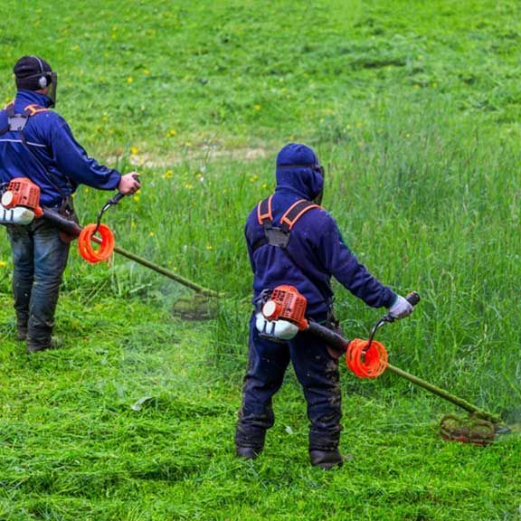 katharismoi-oikopedwn.gr katharismoi-oikopedwn.gr
