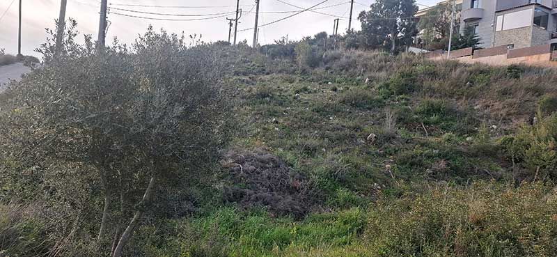 katharismoi-oikopedwn.gr