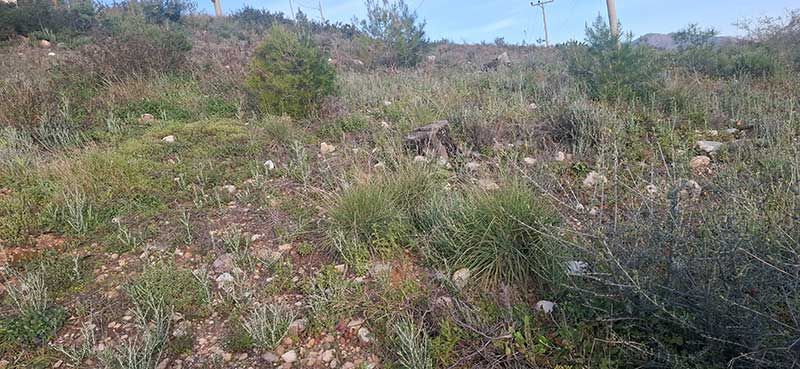 katharismoi-oikopedwn.gr