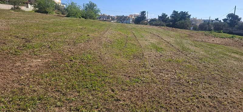 katharismoi-oikopedwn.gr