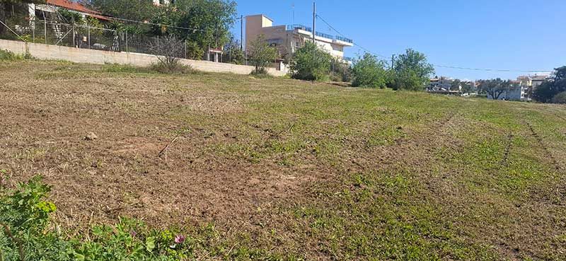 katharismoi-oikopedwn.gr