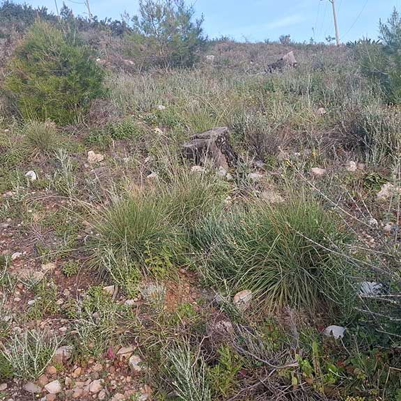 katharismoi-oikopedwn.gr katharismoi-oikopedwn.gr