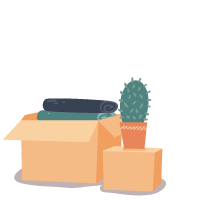 Un carton avec des serviettes et un cactus