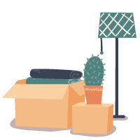 Un carton avec un cactus et une lampe