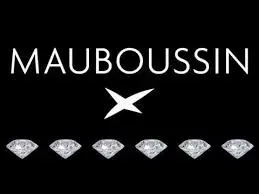 Logo Mauboussin