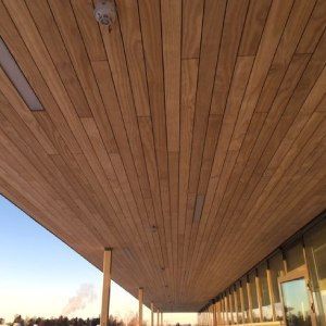 Alakattojen paneloinnit