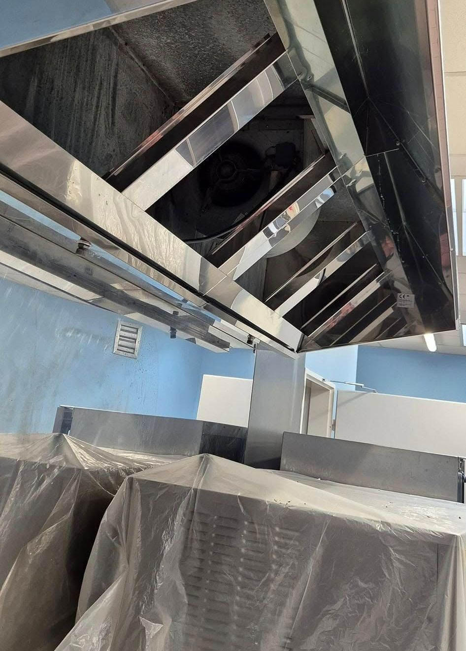 Hottes professionnelles