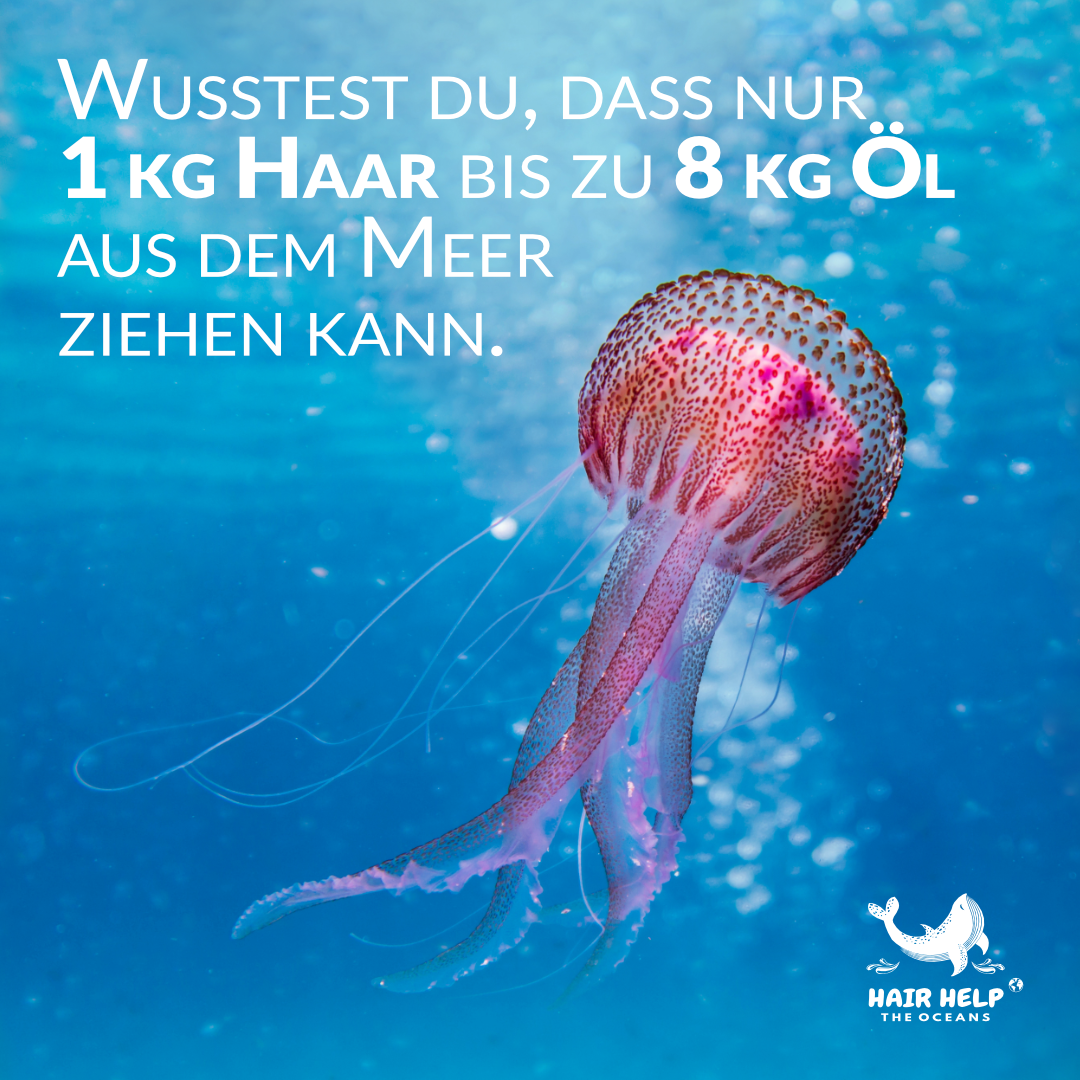 Ein Bild einer Qualle Hair Help The Oceans