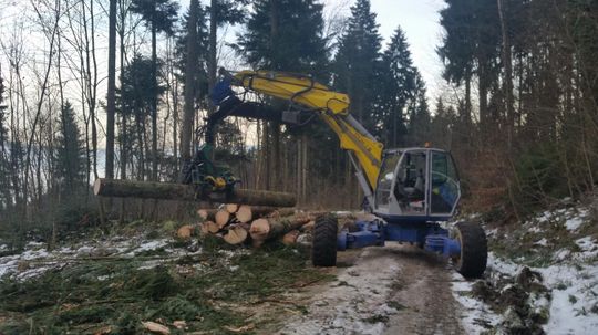 Bagger - Bütler Baggerbetrieb - Ermensee