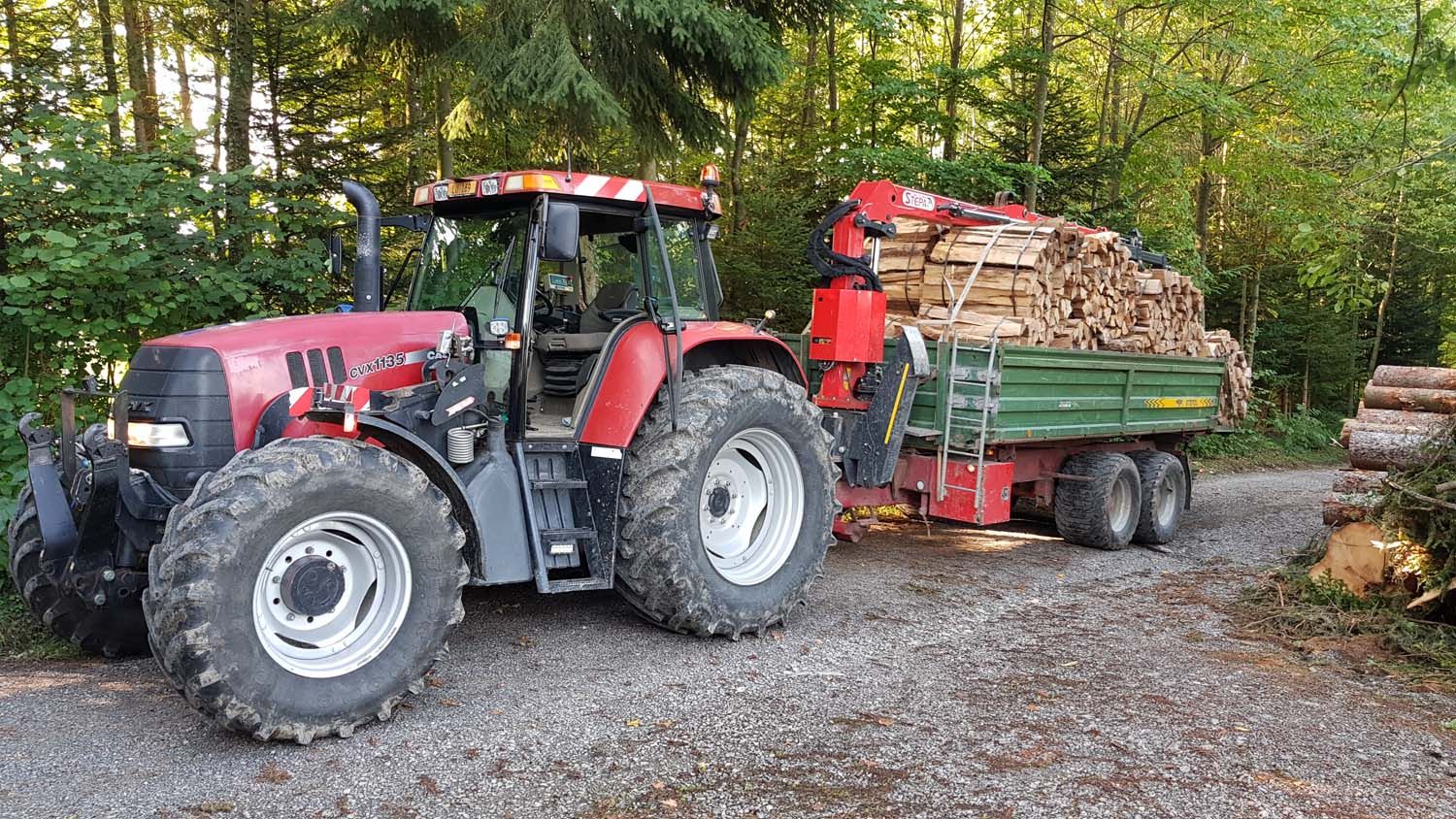 Harvester - Bütler Baggerbetrieb - Ermensee
