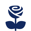 Illustration d'une rose bleu foncé.